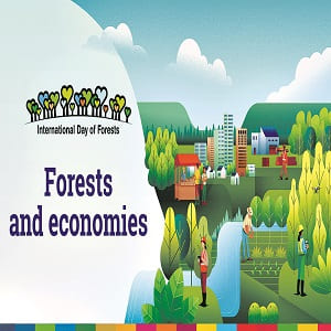 International Day of Forests