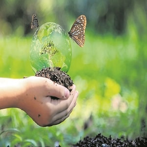 World Nature Conservation Day