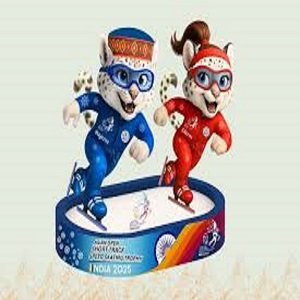 Skating Trophy