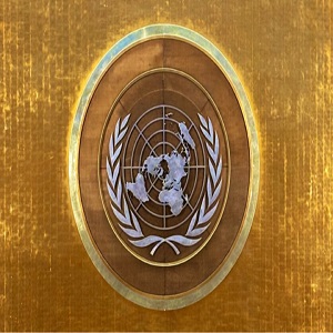 Human Rights Council