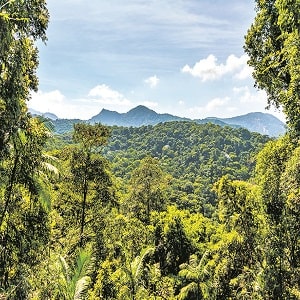 Global Forest Resources Assessment