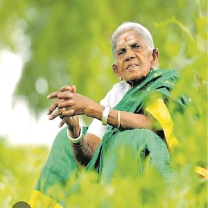 Saalumarada Thimmakka