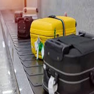 The Government has notified the Baggage Rules, 2026