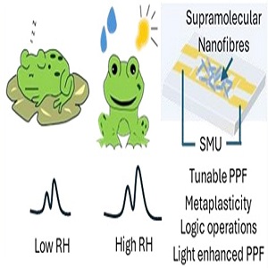 Jawaharlal Nehru Centre for Advanced Scientific Research (JNCASR)