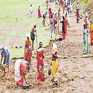 Viksit Bharat   Guarantee for Rozgar and Ajeevika Mission