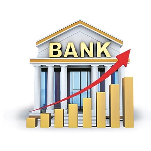 Public Sector Banks (PSBs)