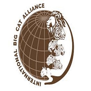 International Big Cat Alliance (IBCA)
