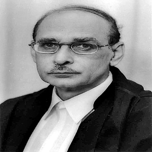 Committee on Illegal Migration