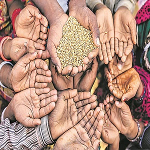World Hunger Day