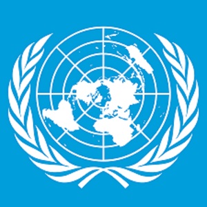 UN Security Council