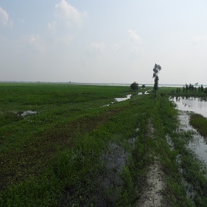 Countrys 100th Ramsar Site