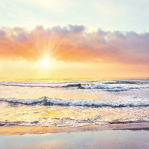 World Oceans Day