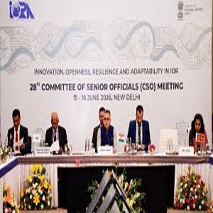 28th Meeting of the Committee of Senior Officials (CSO)