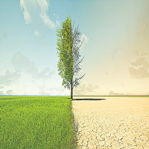 World Day to Combat Desertification and Drought