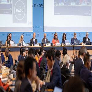 Trade Policy Review