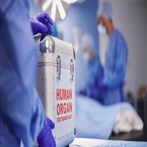 Organ transplants