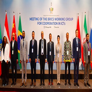 BRICS Working Group