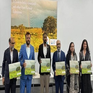 Open Natural Ecosystems