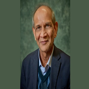 Borlaug Award