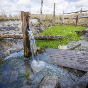 Second Census of Water Bodies