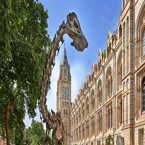 Young Wildlife Photographer of the Year 2026
